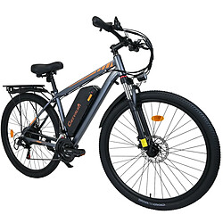 Cheevalry C29 josso-sarl-electro875