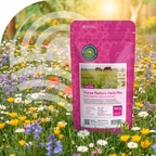 Mélange d'herbes pour pâturages de chevaux josso-sarl-electro
