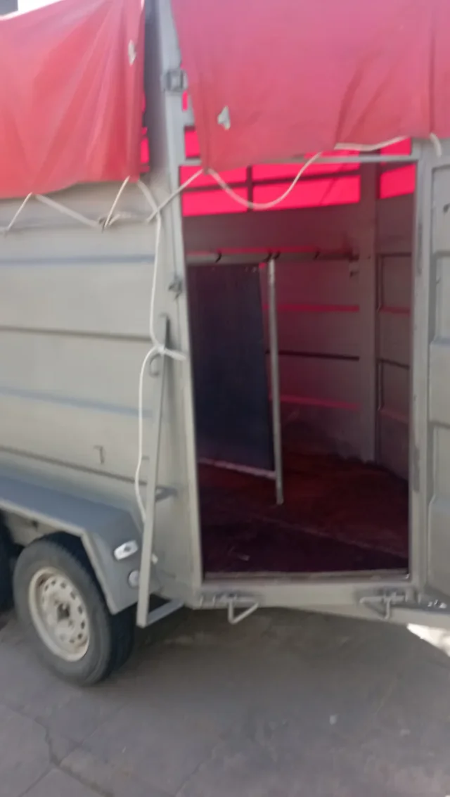 Remorque pour bétail Transport d'animaux – Double essieu josso-sarl-electro